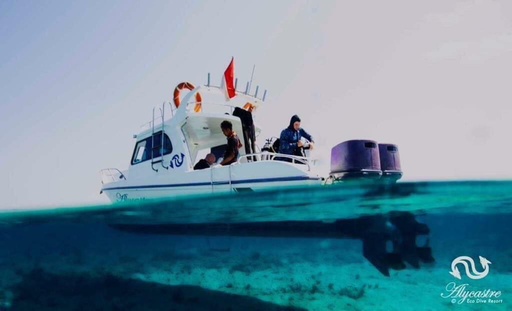 Eco dive resort Alycastre Maumere Esterno foto